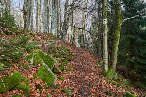 Gemeinde Sankt_Oswald-Riedlhütte Landkreis Freyung-Grafenau Großer Rachel Wanderweg (Dirschl Johann) Deutschland FRG